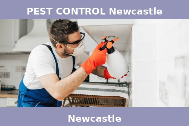PEST CONTROL Newcastle